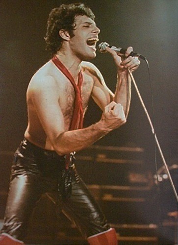 Freddie rocks!